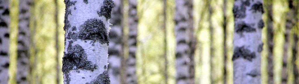 Nuuksio -