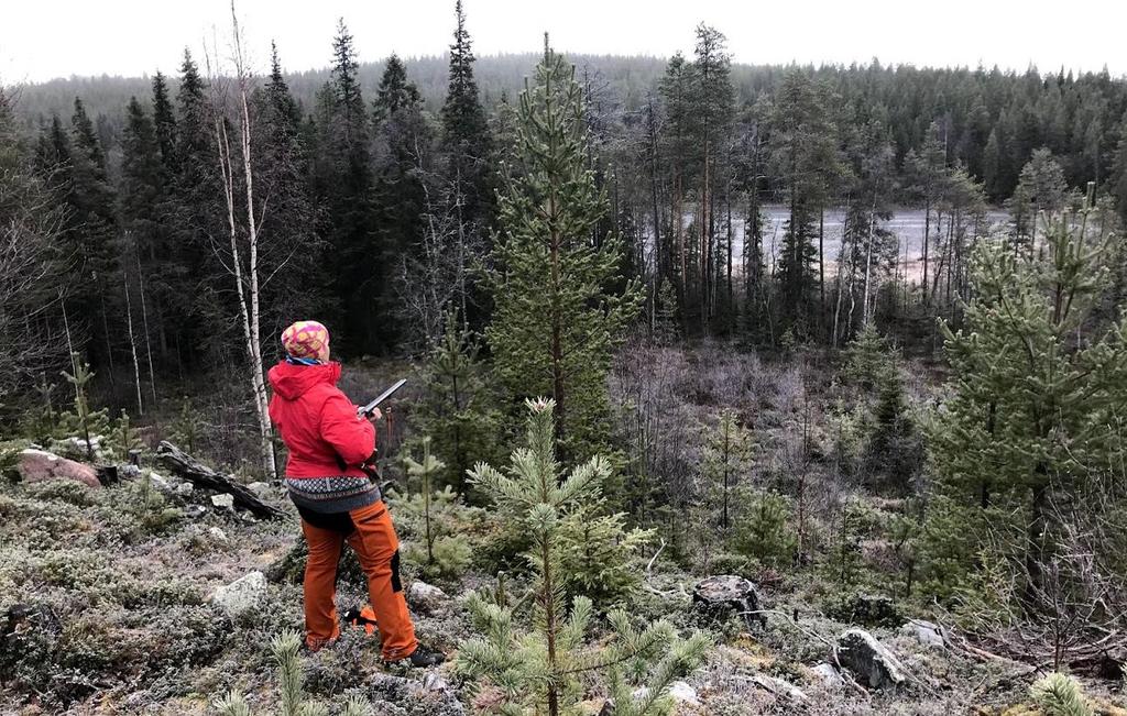 Elinvoimaa EI luoda puolustamalla oman kunnan rajoja