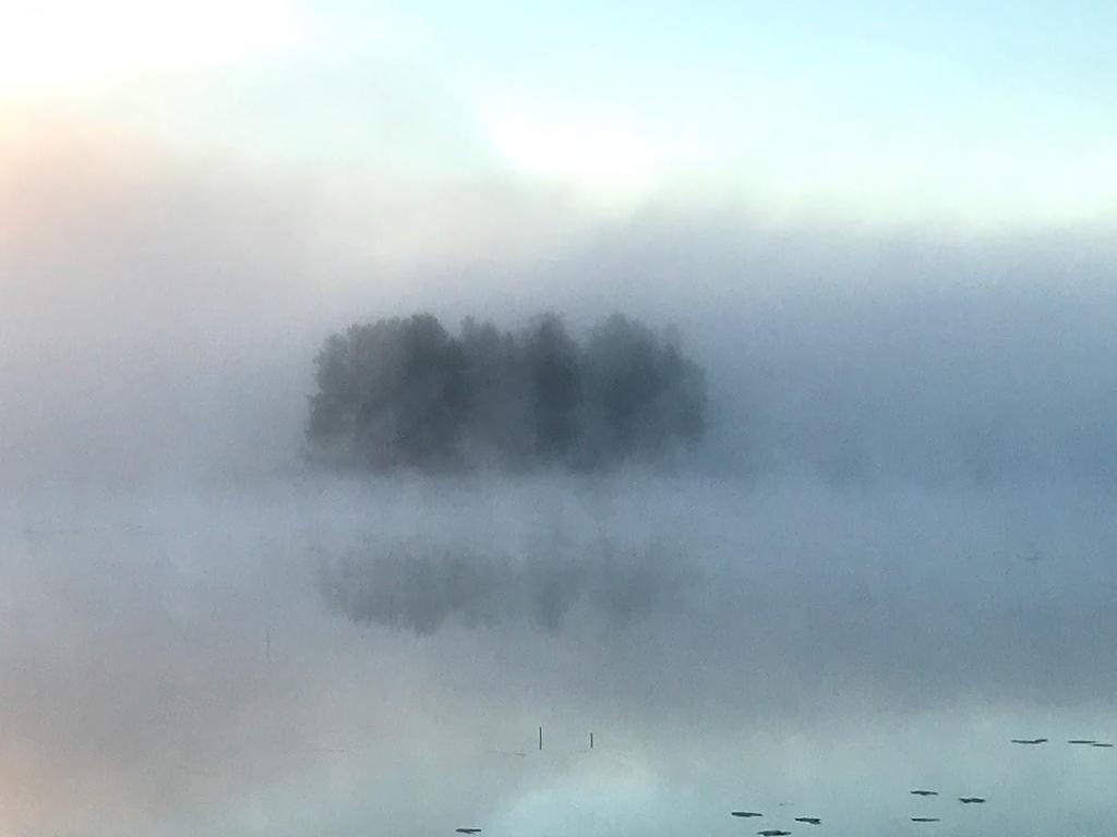 Joka ikisen Lapin hankintayksikön esimiehen, joka käyttää veronmaksajien rahoja yksikössään, tulisi olla kiinnostunut organisaation roolista Lapin elinvoimaisuudessa.