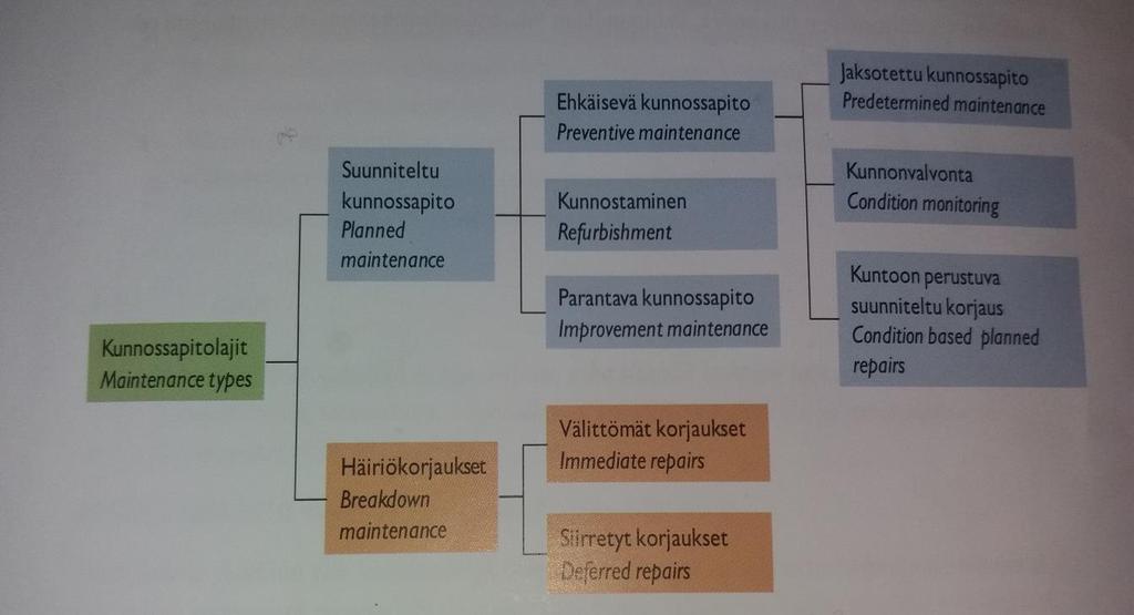 mutta kunnonvalvontaan perustuvat lajit yhdistettiin yhdeksi lajiksi (kuntoon perustuva