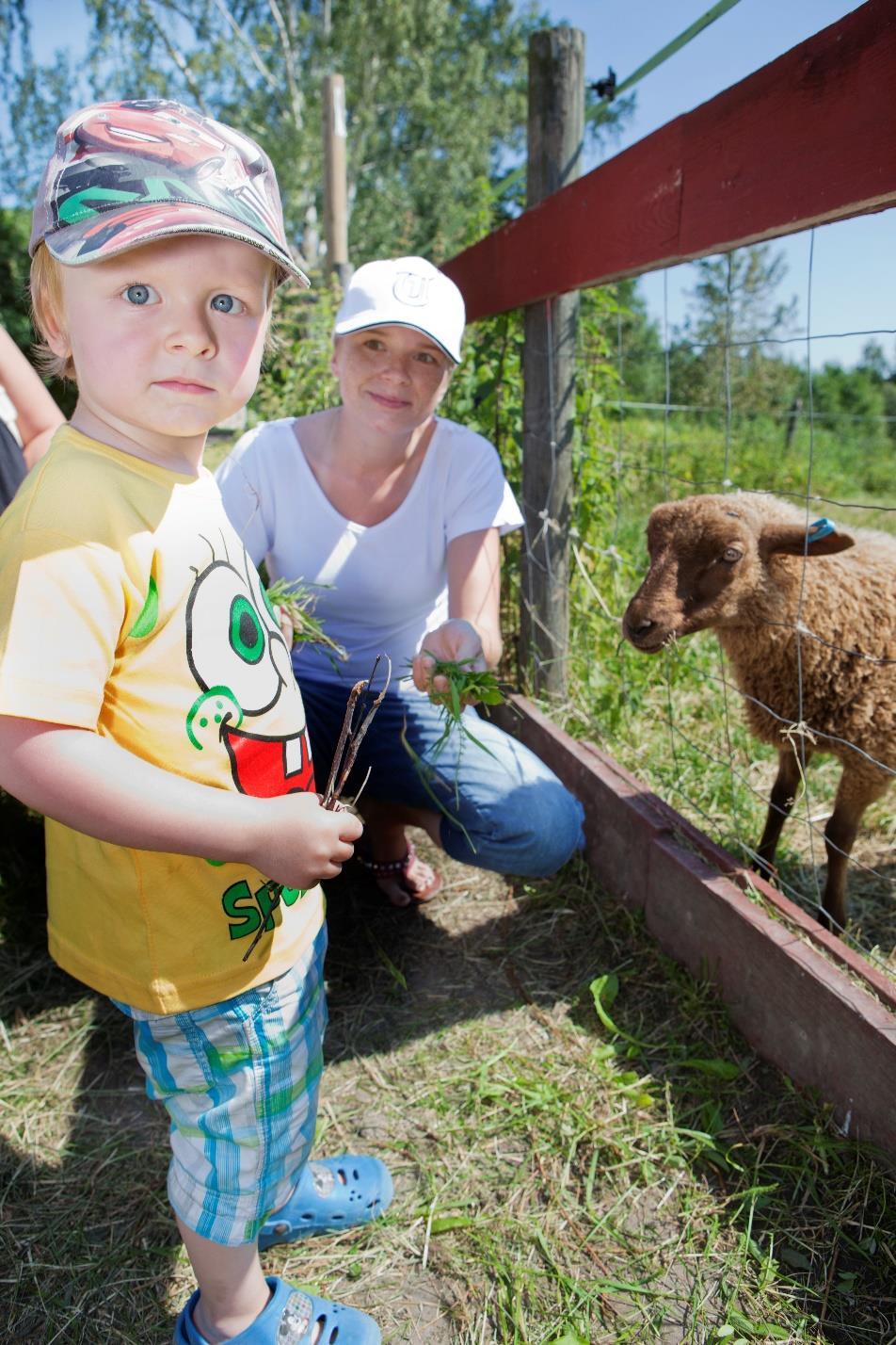 Ravinneneutraali kunta RANKU Tavoitteena ravinteiden kierrätys lähellä niiden syntypaikkaa ja Ravinneneutraali kunta toimintamallin kehittäminen Kuusi pilottikuntaa 2015-2017, nyt RANKU 3 (2018-2020)