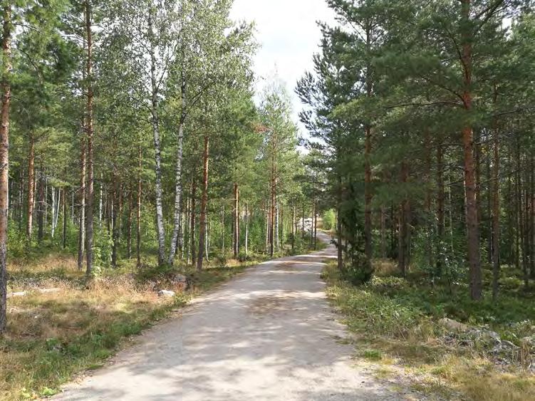 tettu notkelma. Selvitysalue on tehokkaassa talouskäytössä ollutta metsämaastoa ja hiljattain käyttöön otettua rakentamisaluetta.