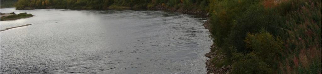Roavvenjargassa.