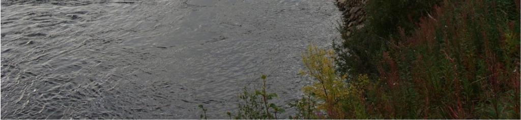 Peltoalueen kohdalta ranta on