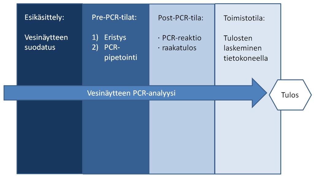 PCR-analyysi Tarja