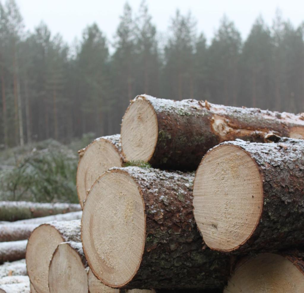 Metsänhoidon suositukset