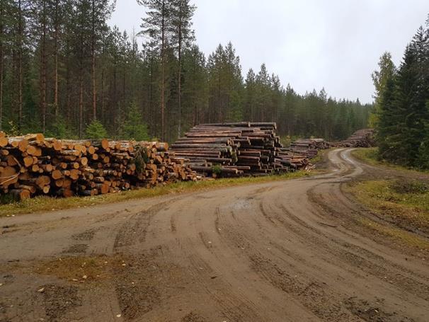 Varastopaikkaa ei saa sijoittaa: 1) maanteiden numero 1-99 (valta- tai kantatie) varteen, myös peruuttaminen varastopistoille näiltä teiltä on kielletty 2) etuajo-oikeutetun maantien varrelle, koska