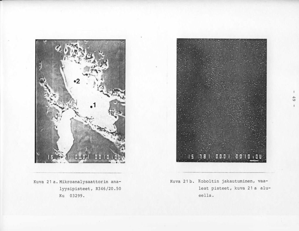 Kuva 21 a. Mikroanalysaattorin ana- Kuva 21 b.