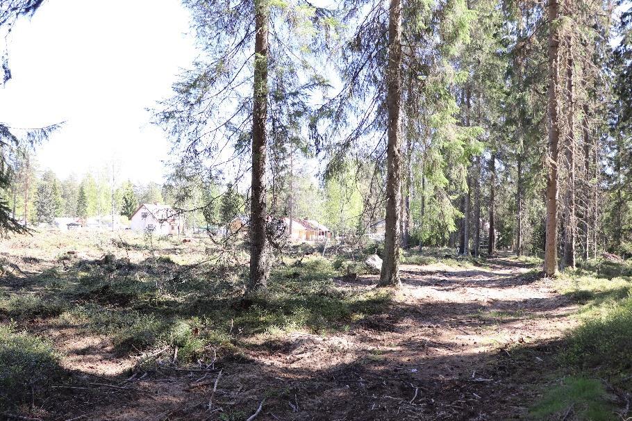 mainittakoon alueen läpi kaivettu kaapelilinja, joka