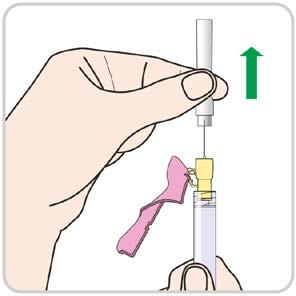 Poista neulan kirkas suojus vetämällä sitä toisella kädellä suoraan ylöspäin. Neula on puhdas. ÄLÄ kosketa neulaa.