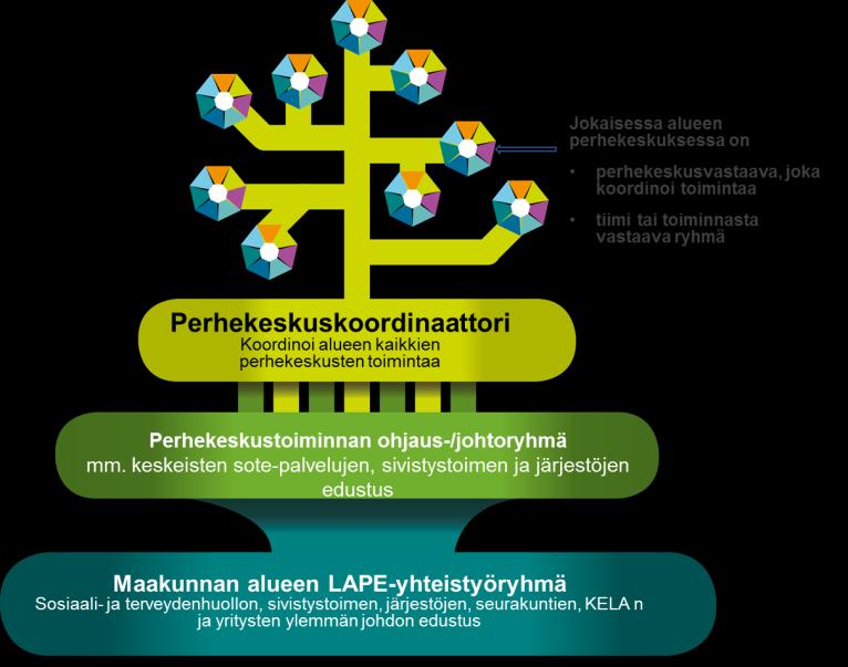 Keskeiset tulokset (4) Rakenteet luotu eri hallinnonalojen ja muiden tahojen toimintojen johtamiselle ja koordinaatiolle osana LNP palvelujen kokonaisuutta Kaksiportainen verkostojohtamisen rakenne