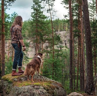 Lunawood on lämpökäsitellyn puun globaali markkinajohtaja ja pioneeri. Rakastamme skandinaavista metsää sekä sen vapautta ja kiistämätöntä voimaa.