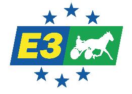 Kansainvälinen ikäluokkakilpailusarja! Ilmoita vuonna 2011 syntynyt varsasi mukaan E3-kilpailusarjaan! Ensimmäisen ilmoittautumismaksun eräpäivä on 28.2.2013.
