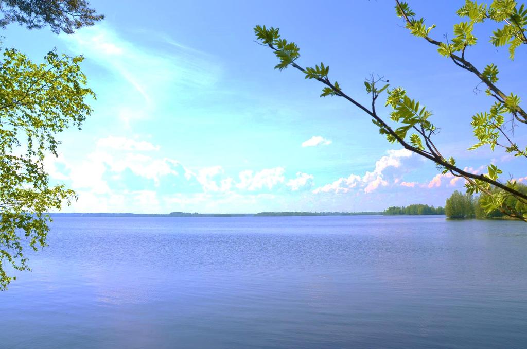 Aaltojen keskellä