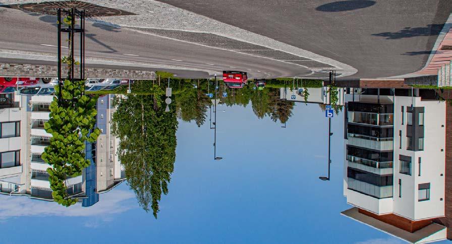 Kaupunginhallitus