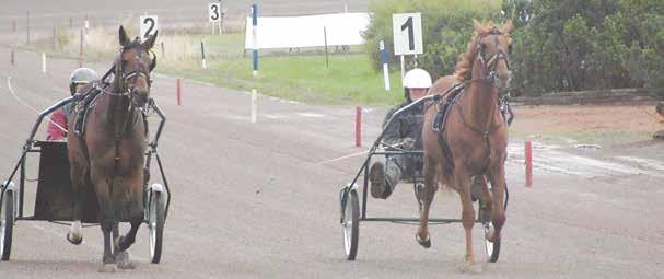 KOSKELA TRAINING STABLES YHTEYSTIEDOT Juha Koskela: 040 557 7838 Tiina Koskela: 040 728 2770 Ravitallinkatu 10 B, 30420 Forssa www.koskelatrainingstables.fi posti@koskelatrainingstables.fi Ravurin 1.