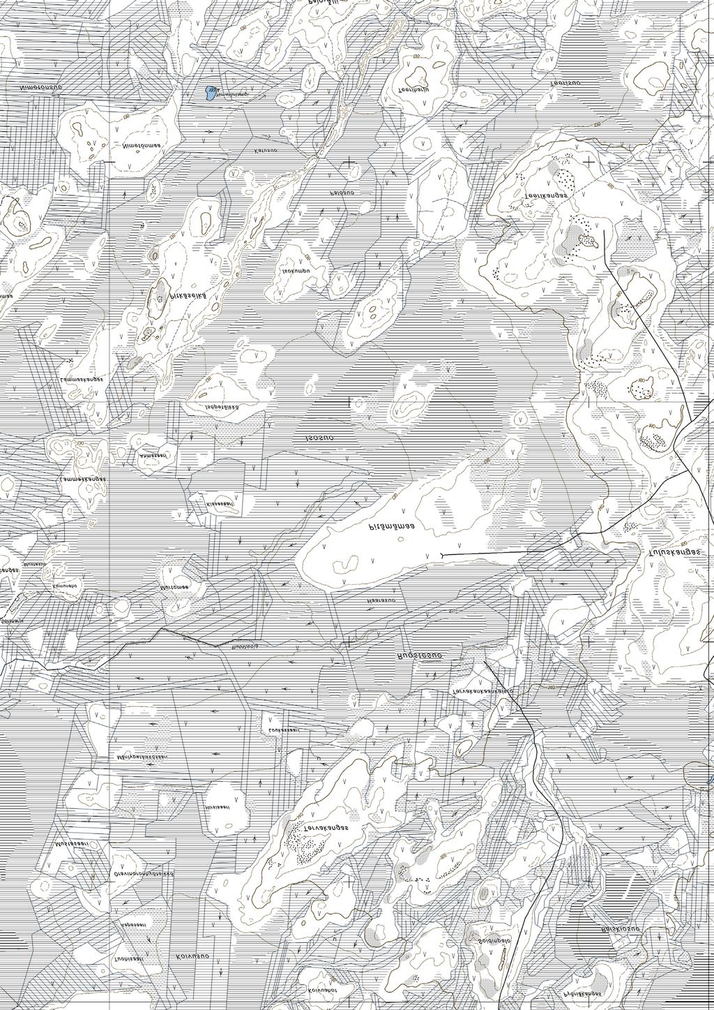 laulujoutsen metsähanhi nuolihaukka teeri kapustarinta jänkäkurppa pikkukuovi isokuovi liro valkoviklo mustaviklo käki RUOSTESUON ALUE laskentalinja kartoituslaskenta Tilaaja: Työn nimi: Isosuon ja