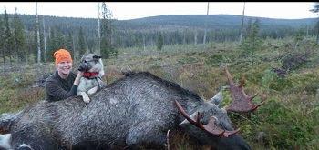 Harmaja kantanarttumme Vuoskanpalon Sara on ollut käytössä hyvä ja periyttänyt vielä jopa parempaa.