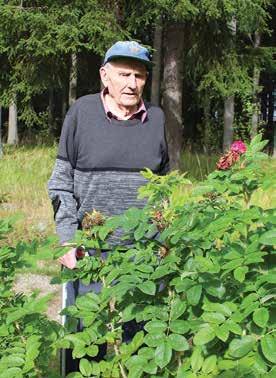 Matti Kempin perhe sulautui Sysmään Vuoksenrannasta Eija Virolainen Sysmäläinen Matti Kemppi on ollut aktiivinen synnyinseutunsa Vuoksenrannan Karkealan kylän perinteistä kertoessaan.