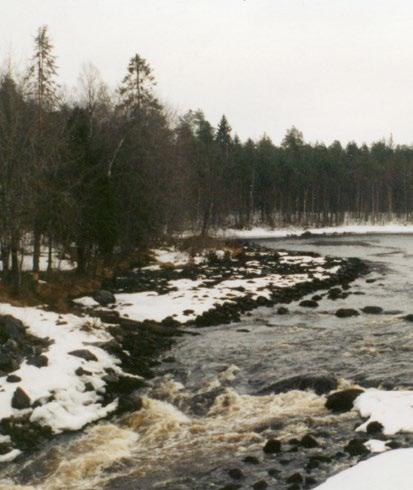 vettä valau (alkukuu on kylmä, loppukuu on lämpimämpi). Tuiskukuušša ollan mainittavat harjapurut. Täštä kuušta vanha rahvaš on näin maininnun: Šanotah, jotta mitä harja harjuau šitä kevät kesryäy.