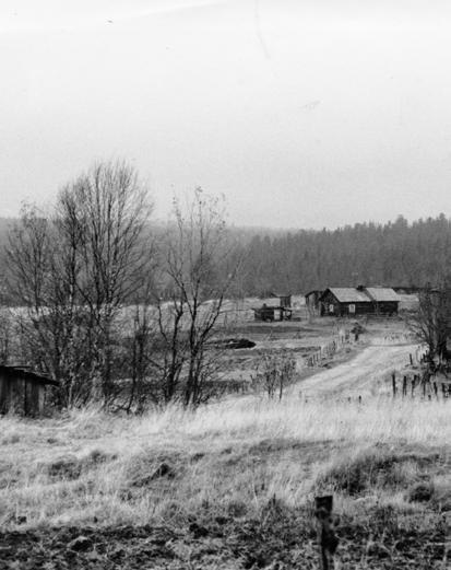 10. Šajekuu Ei muuta kun šatau vain ta šatau. Vetenä on koko muajilma. Šiitä i nimeh šai. Ta i šanotah täštä kuuštä näin: Šajekuu itköy kylmillä kyynälillä. Šajekuušša šiä muuttuu šeiččemen kertua.