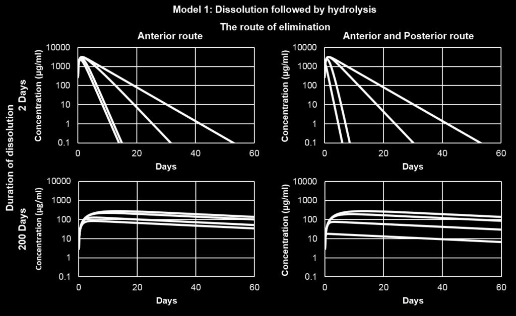 30 Figure 10. The simulated concentrations of dissolved polymer and its fragments in the vitreous over time, using model 1. Three durations of polymer dissolution were simulated (2, 20 and 200 days).