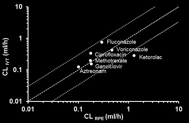 , 2015) (Fig. 13). CLRPE could explain the CLIVT of all the drugs, with the exception of ketorolac.