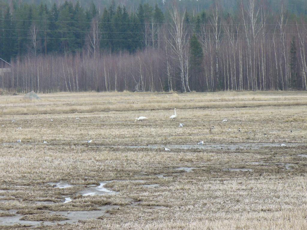 Harmaalta näyttävä arki voi olla myös enne tulevasta