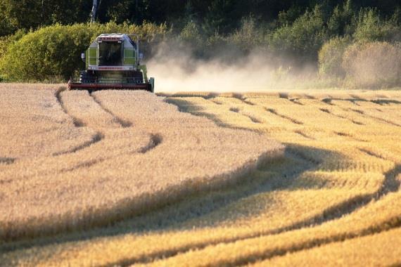 Kestävä ruokavalio kestävät ruokatuotteet Alhaiset ympäristövaikutukset Ruoka- ja ravitsemusturva Terveellinen elämää nykyisille ja tuleville sukupolville Suojelee ja kunnioittaa luonnon