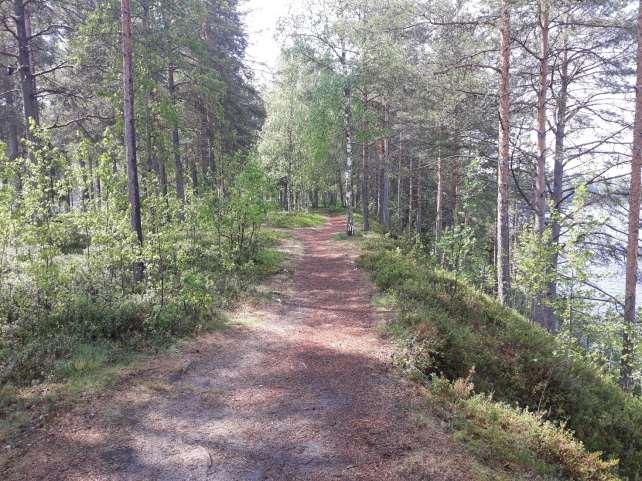 ~ 9 ~ kehittämisalue on noin 10 hehtaarin laajempi kokonaisuus, jonka mahdollisuuksia Oulun kaupunki on jo tarkastellut suunnitelmilla. Alueen kehittämistä on tavoitteena jatkaa pitkällä tähtäimellä.