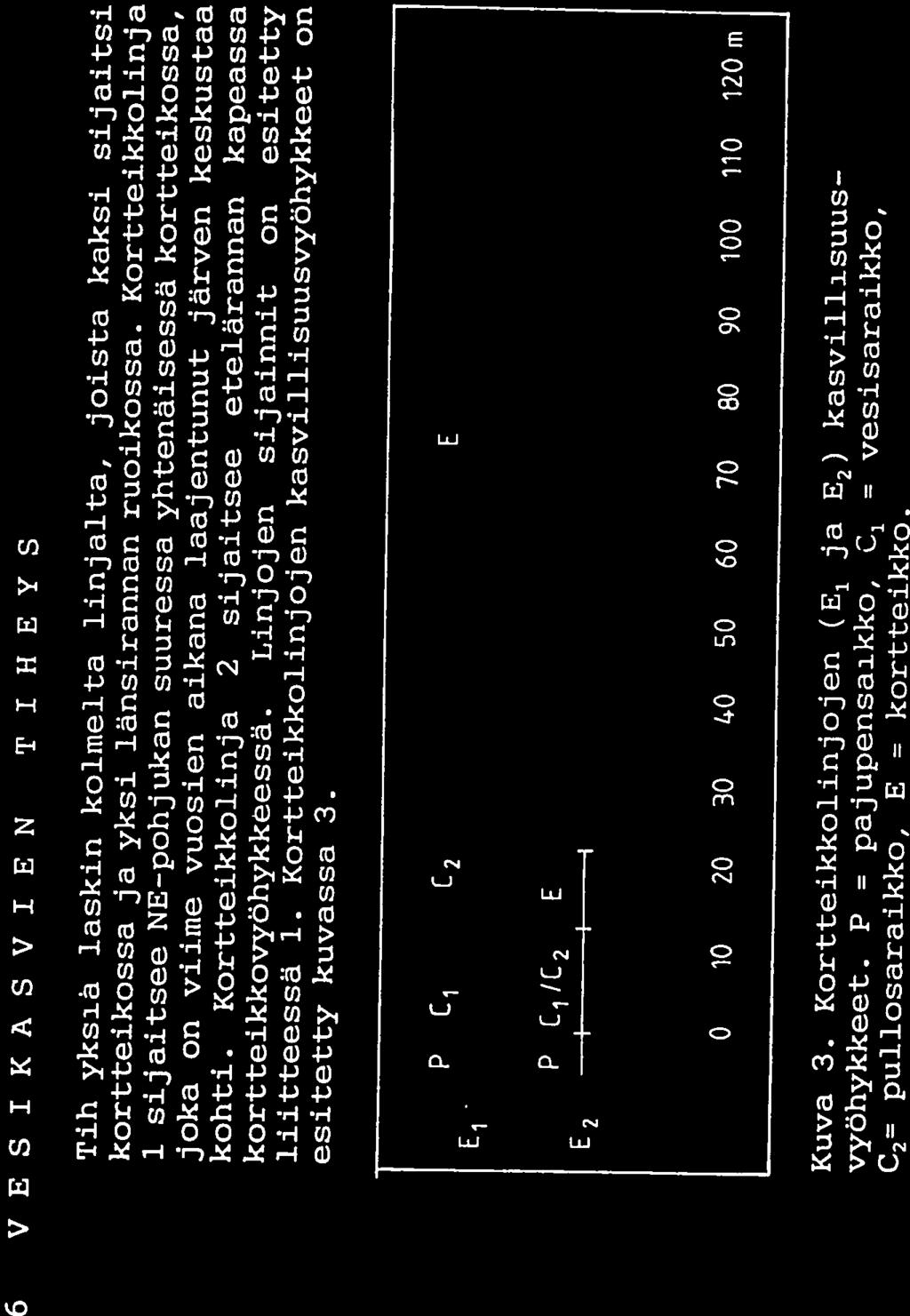 Järvikaisla kiinnittyy lujasti pohjaan ja saavuttaa suurimmat tiheytensä suojai sula paikoilla pehmeällä kasvupaikalla (mm. Kurimo 1970). Järvikaisla on ollut järvellä aiemmin huomattavasti runsaampi.