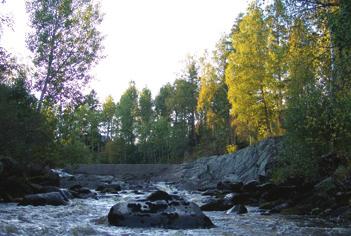 PORNAISTEN JOUKKOLIIKENTEEN AIKATAULUKOOSTE 12.8.-31.12.2019 Liikennöintikauden vaihtumisessa on vaihtelua liikennöitsijöittäin.