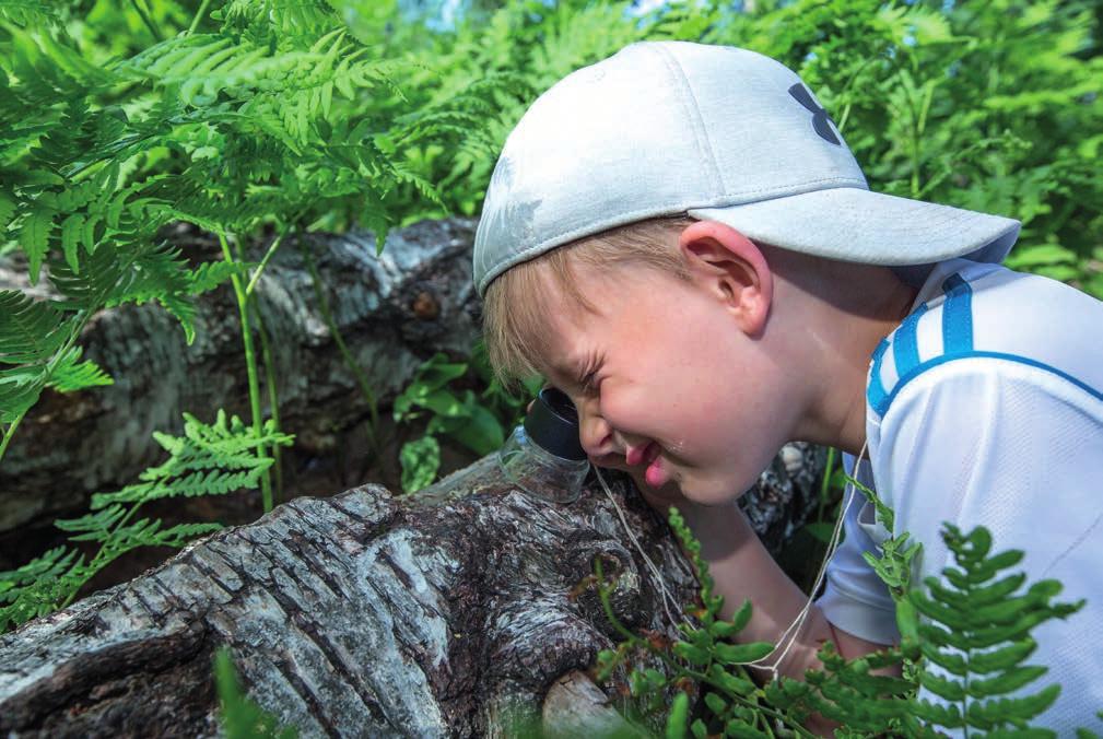 lyjä voivat olla esimerkiksi lapsikohtainen ohjaaminen, erilaisten apuvälineiden käyttö, varhaiskasvatuksen erityisopettajan jaksottainen ja konsultoiva tuki sekä kielen ja kommunikaation tukeminen.