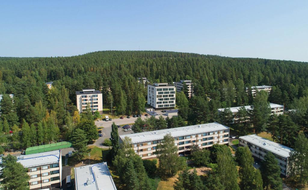Havainnekuva