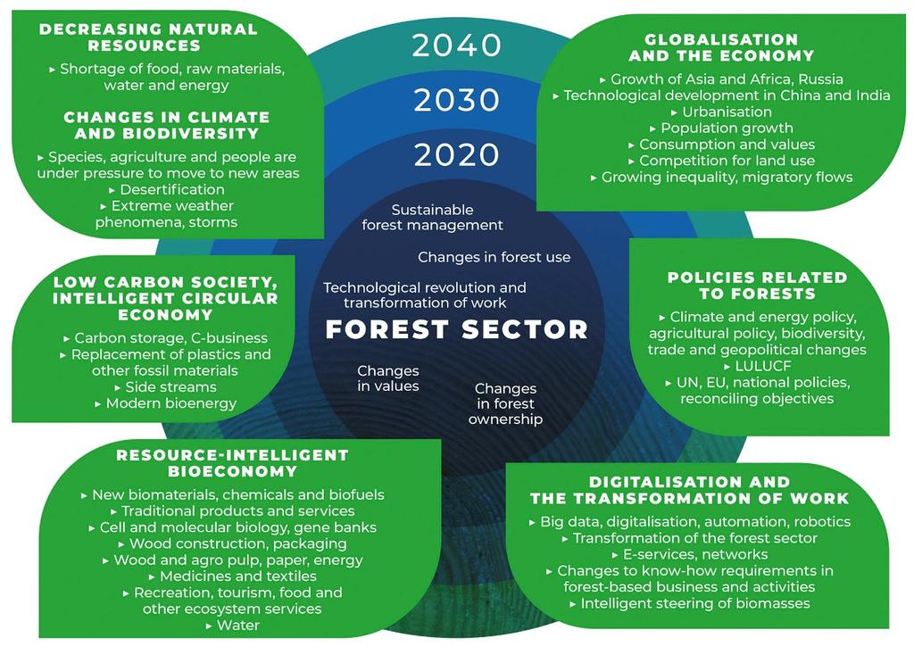 Figure 4. Key global megatrends that affect the forest sector.