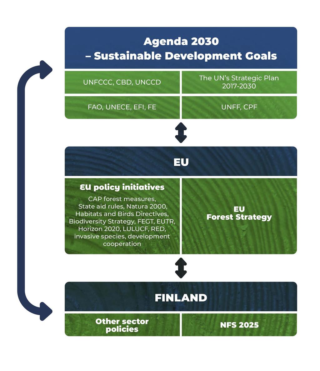 Figure 7. International, EU and national policy framework related to forests and sustainable forestry.