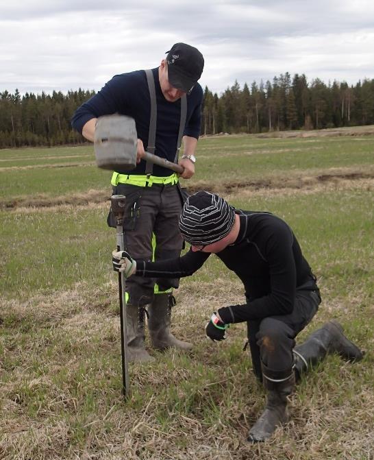 Maaperän näytteenotto Todennäköistä, että hapettumista mineraalimaassa (ph 4) on tapahtunut vain ojanpenkereillä ja ylimmässä mineraalimaassa.