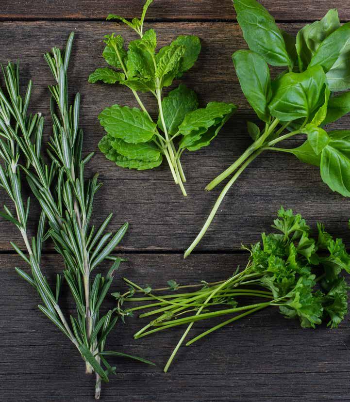 YRTIT Pakastekuivattu, Wiberg 196152 Basilika 6 x 55 g 196154 Tilli 6 x 70 g 196163 Oregano 6 x 65 g 196164 Persilja 6 x 50 g 196165 Rosmariini 6 x 140 g 196158 Provencen yrtit 6 x 100g 196177 Minttu