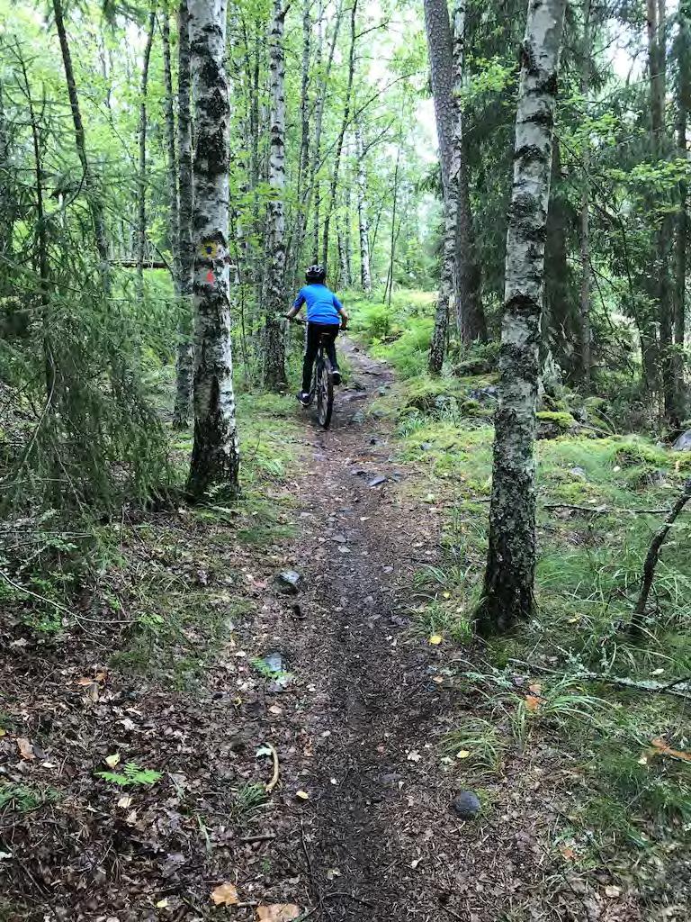 JOKAINEN SUKUPOLVI LUO