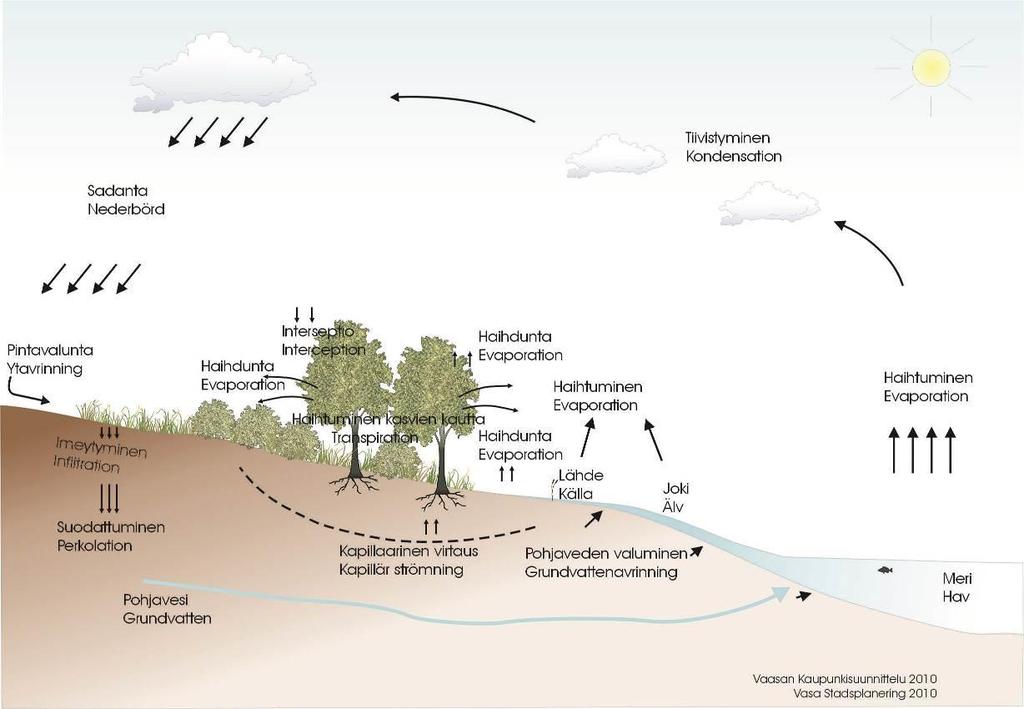 Kuva 2. Veden kiertokulku luonnossa. Luonnonmukaiset hulevesien hallintamenetelmät jakautuvat toimintaperiaatteensa mukaan hulevesien vähentämiseen, käsittelyyn, viivyttämiseen ja johtamiseen.