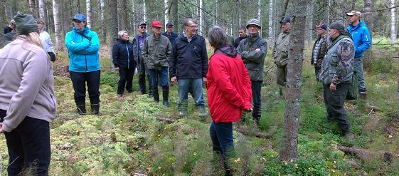 Tekemisiä Kuljettuja metsähehtaareja n. 5300, pääosa Satakunnassa. Suuremman joukon retkiä 17. METSO-retkeily oli yksi niistä, 5.6.2019 Siikaisissa.