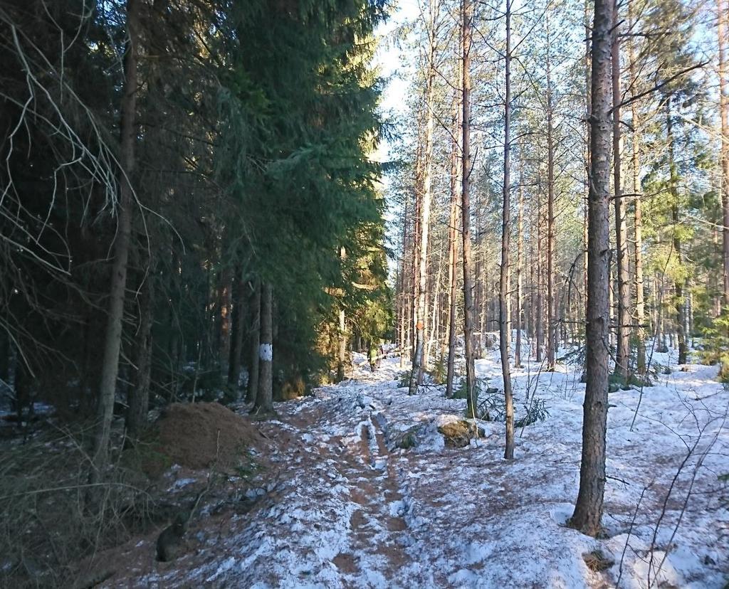 Metsien valtakunnallinen mnimutisuuspririsinti 2018 1. Tietlähteet: puusttiet (Metsähallitus, Metsäkeskus, Luke MVMI) 2.