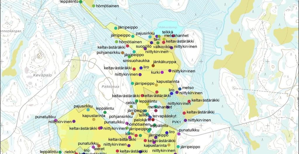 suojelullisesti