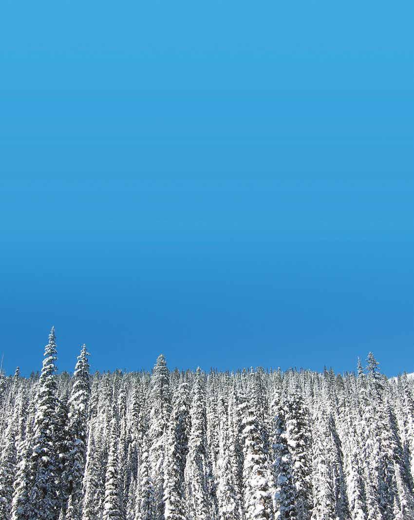 Pohjalaista puunjalostusosaamista jo viidellä vuosikymmenellä!