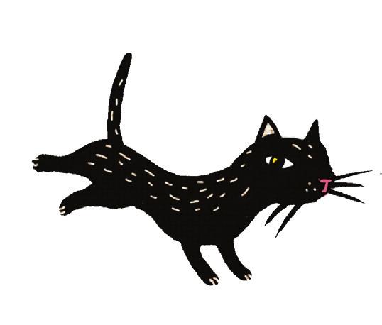 GATO MIA