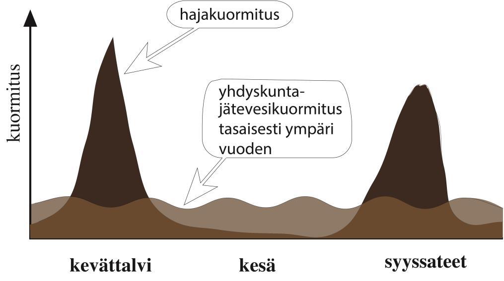 Yhdyskuntajätevesikuormituksen ja haja-kuormituksen dynamiikka Kesällä, kuivana vuodenaikana tulevat yhdyskuntajätevesien vaikutukset esille jokivesistöissä, sillä valtaosa haja-kuormituksesta