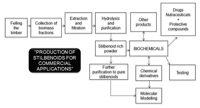 15 4.3 Production of stilbenoids for commercial applications Production of stilbenoids for commercial application has been proposed by Latva- Mäenpää (Figure 11).