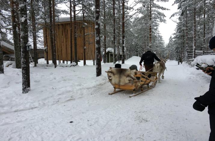 nomistajia tai poromatkailuun uusia ammattilaisia. Varsinkin eläinten ruokinta koettiin osallistavana kokonaisuutena.