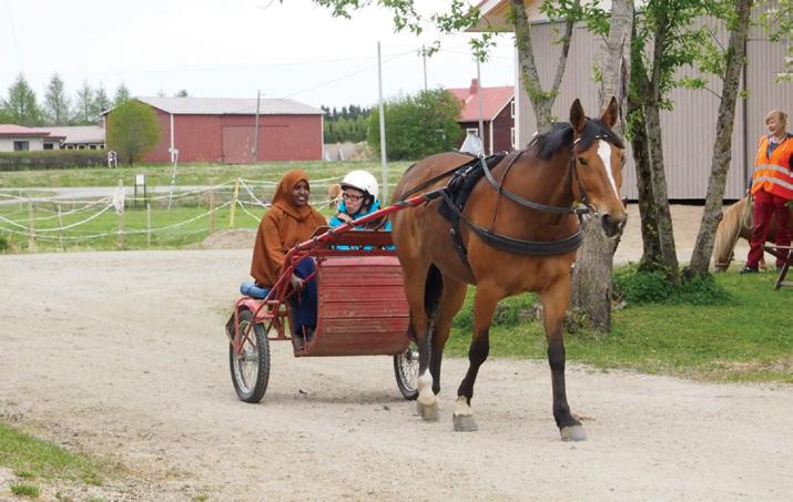 Luontoretkien rauhaa Luontoretkiä tehtiin sekä kaupunkimetsiin että laajemmille retkeilyalueille, joista esimerkkinä talvinen patikointi Posion Korouomalla afgaaninuorten kanssa.