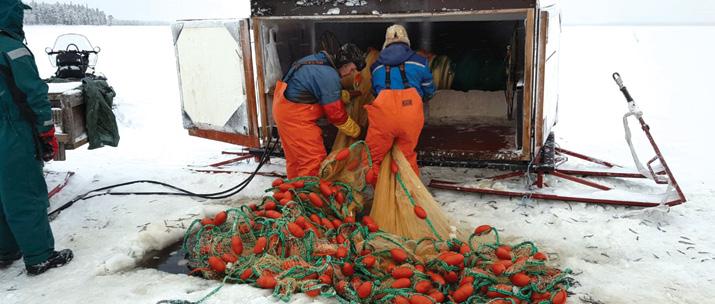 Seuraavilla kahdella kerralla Palojärvi toimi kalastuskohteena ja oppaana vapaaehtoinen Palosalmikodin asukas.